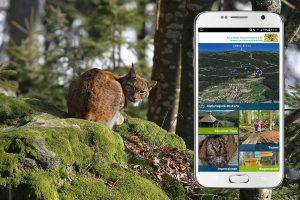 Read more about the article Nationalpark Bayerischer Wald in 3D