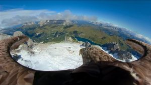 Read more about the article 3D RealityMaps unterstützt Eagle Wings